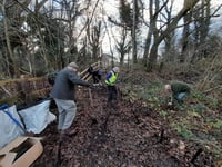 Volunteers plant hundreds of shrubs to improve safety on town footpath