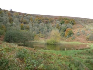 The fight nights up top on Monmouthshire mountainside