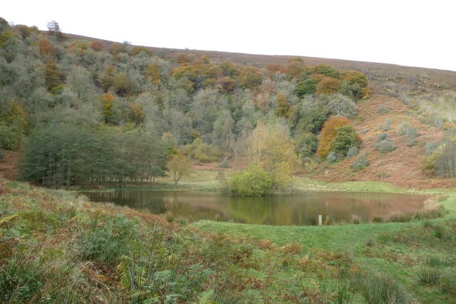 The fight nights up top on Monmouthshire mountainside