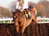 Gold Cup fears as Venetia's Royale Pagaille takes tumble