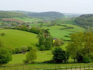 Drugs worth thousands of pounds seized at Wyedean beauty spot