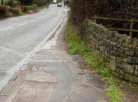 Overgrown hedges prompt accident fears