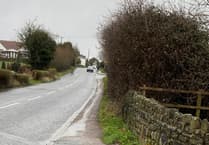 Overgrown hedges sparked concerns for locals in Coleford