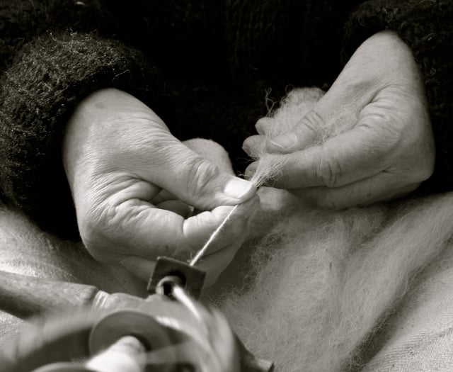 Forest View with Dave Kent