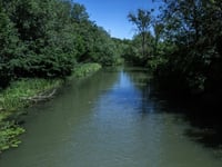 Severn Trent pledge on river health