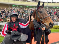 Venetia's Funambule Sivola takes third in Queen Mother's Chase