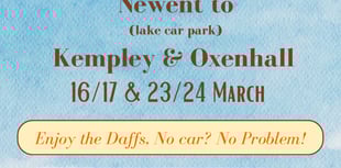Take the bus to see the daffodils of Newent