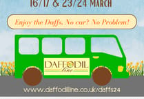 Take the bus to see the daffodils of Newent