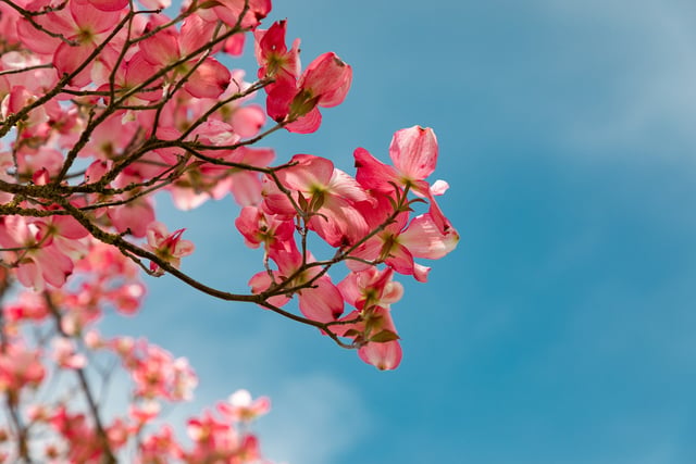Weather for the week ahead in your area