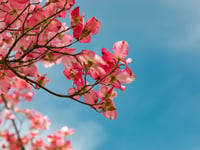 Weather for the week ahead in your area