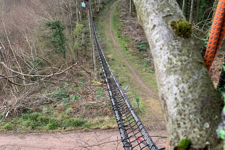 Dormouse bridge