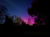 Foresters spot Aurora