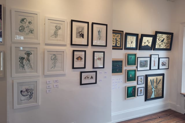 All creatures tiny to tall feature in Newnham art exhibition