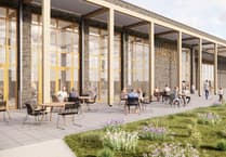 Forest View with Dave Kent