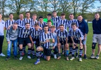 Skipper's early goal sets up cup win