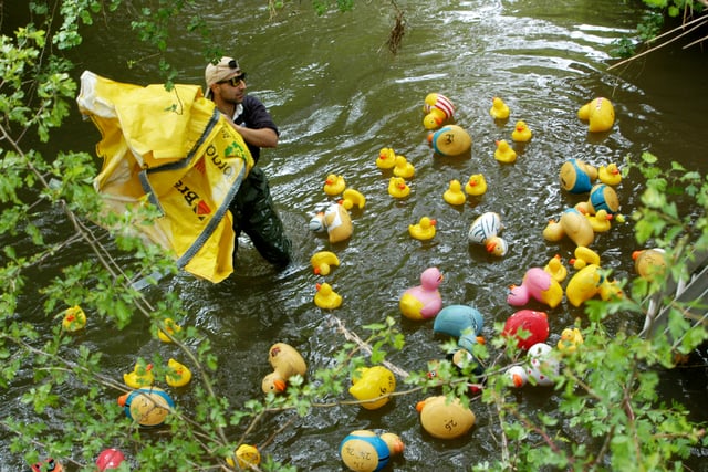Quacking success at Dymock Duck Race