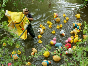 Quacking success at Dymock Duck Race