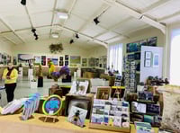 Gallery offers new canvas for Forest artists