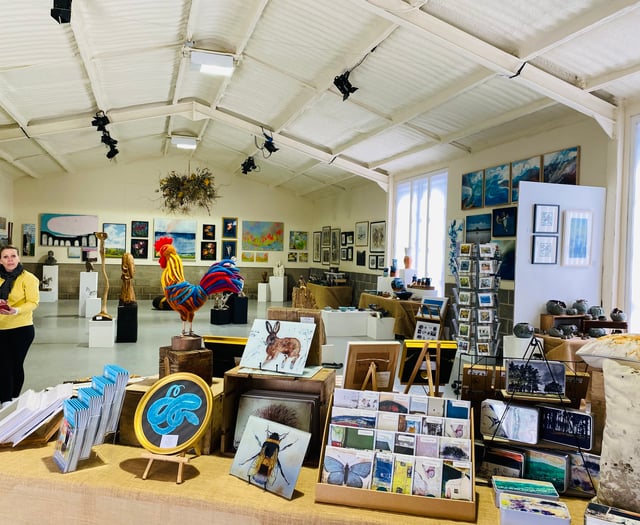 Gallery offers new canvas for Forest artists
