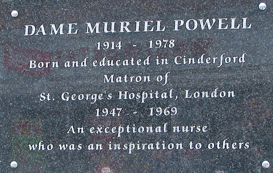 Plaque