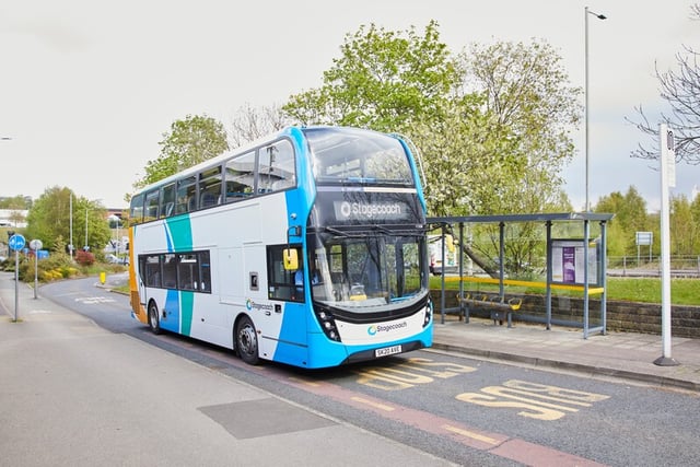 Expert shares how foresters could save some bus money 