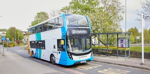 Expert shares how foresters could save some bus money 