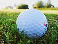 Successful run for Forest Hill golfers
