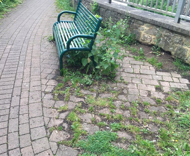 Call for Lydney car park clean up