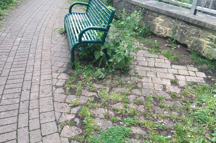Lydney councillor Alan Preest has called on the Forest of Dean District Council to improve the maintenance of Newerne Street car park.