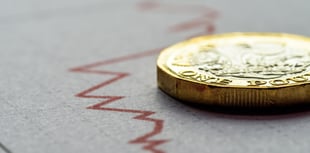 Increased Google searches for Bitcoin sparks concerns 