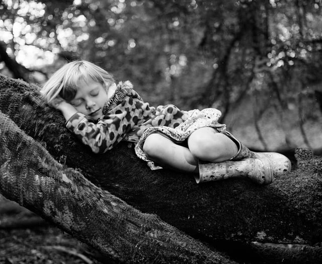  Stunning visual art on show in cave setting for river festival