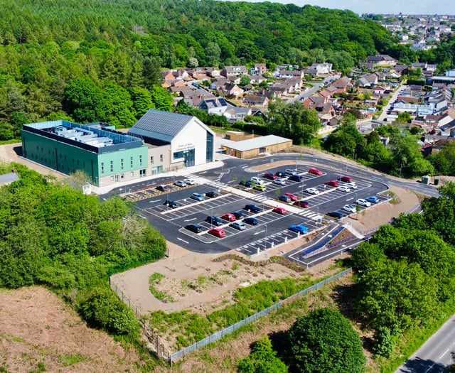 A Forest View with Dave Kent