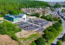 A Forest View with Dave Kent