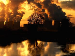 Air pollution causes one in 20 deaths in the Forest of Dean