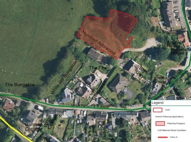 Plans for two homes at Hundred Acre Wood have been approved.