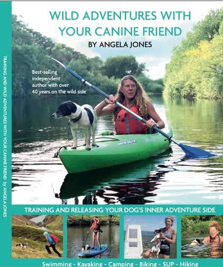 Angela Jones has a new book out