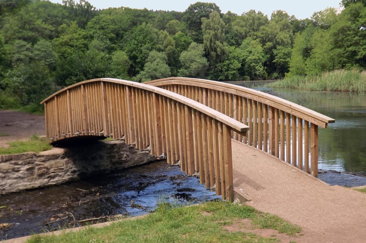 This picture of the bridge at Cannop was taken.by Anthony Brooks.