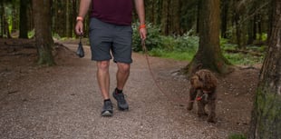 New rules for dog walkers 