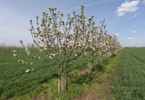 Lloyds Banking Group empowers farmers with financial help for agroforestry projects