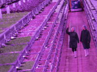 £23 million vertical farm operating in Lydney 