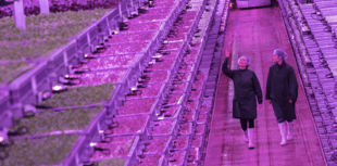 £23 million vertical farm operating in Lydney 