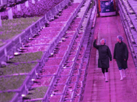 £23 million vertical farm operating in Lydney 