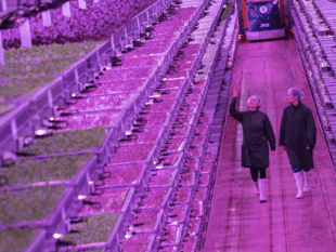 £23 million vertical farm operating in Lydney 