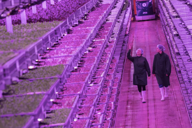 £23 million vertical farm operating in Lydney 