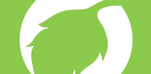 South West cities dominate green table