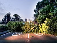 Fallen tree blocked major trunk road