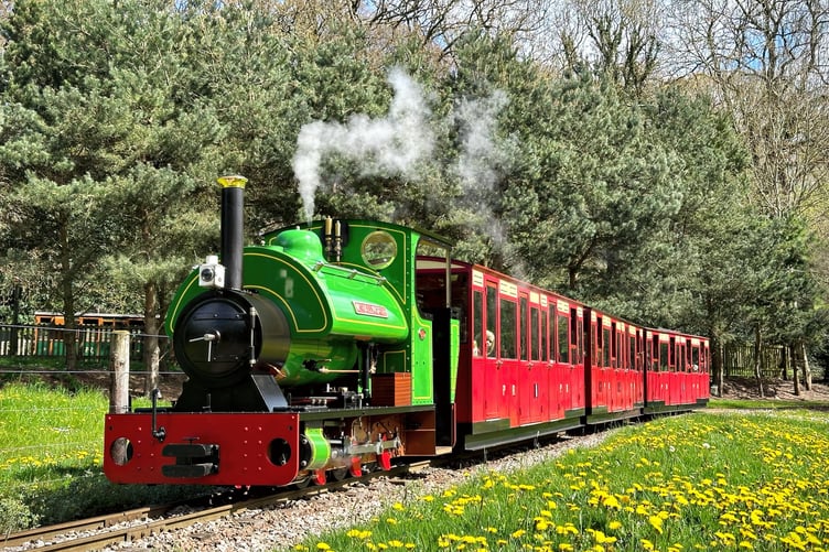 Mr Hallworth buttercups