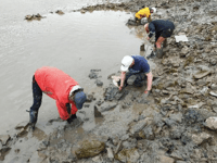 Testing confirms Roman dates for Wye crossing