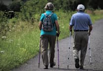 Scenic Forest Walk with Lower Wye Valley Ramblers