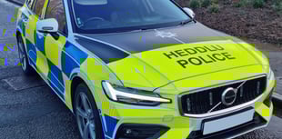 Armed police on scene as five are arrested